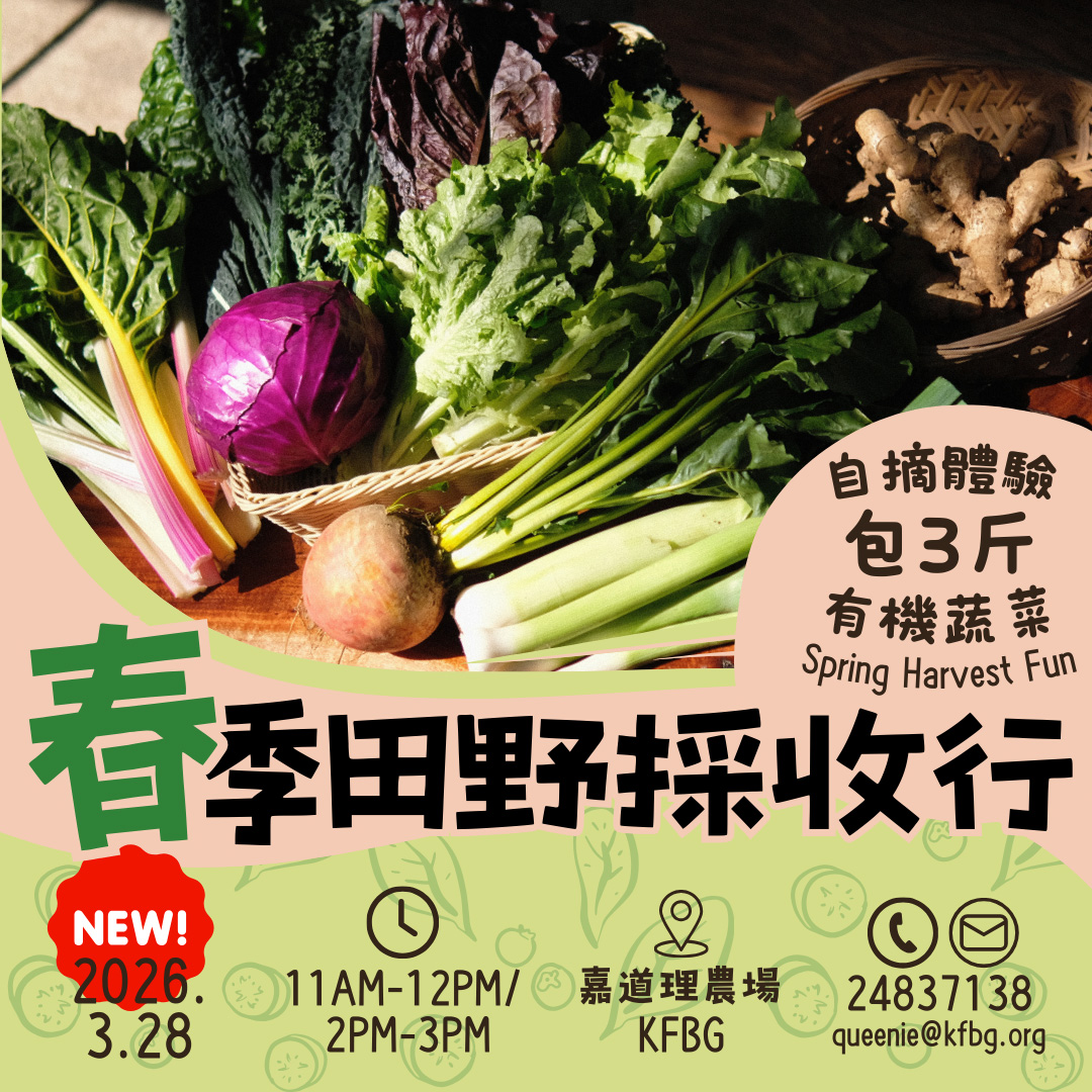 Spring Harvest Fun 2026 (New Sessions)