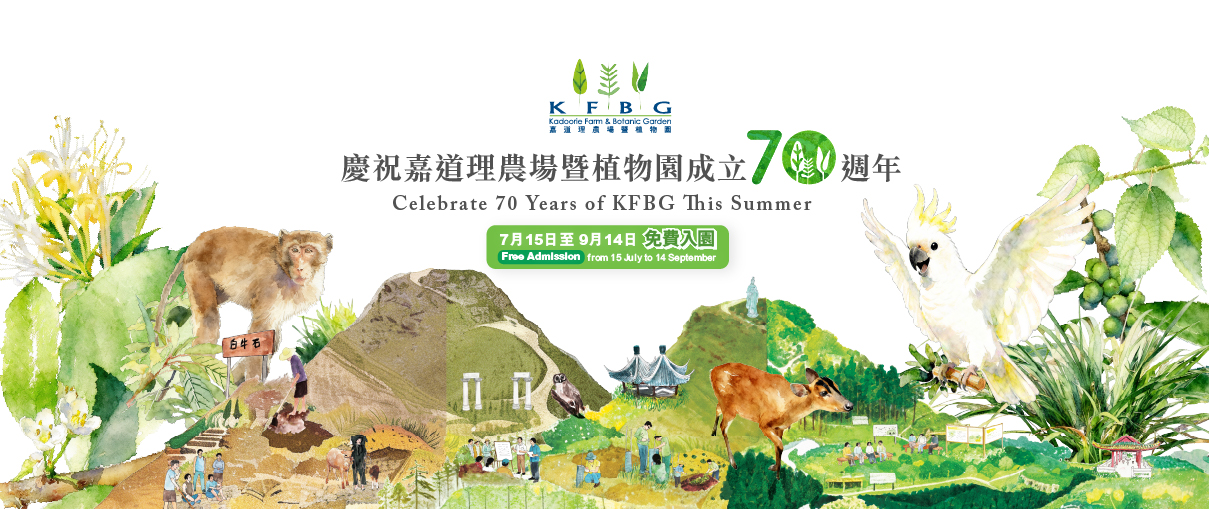 Celebrate 70 Years of KFBG This Summer