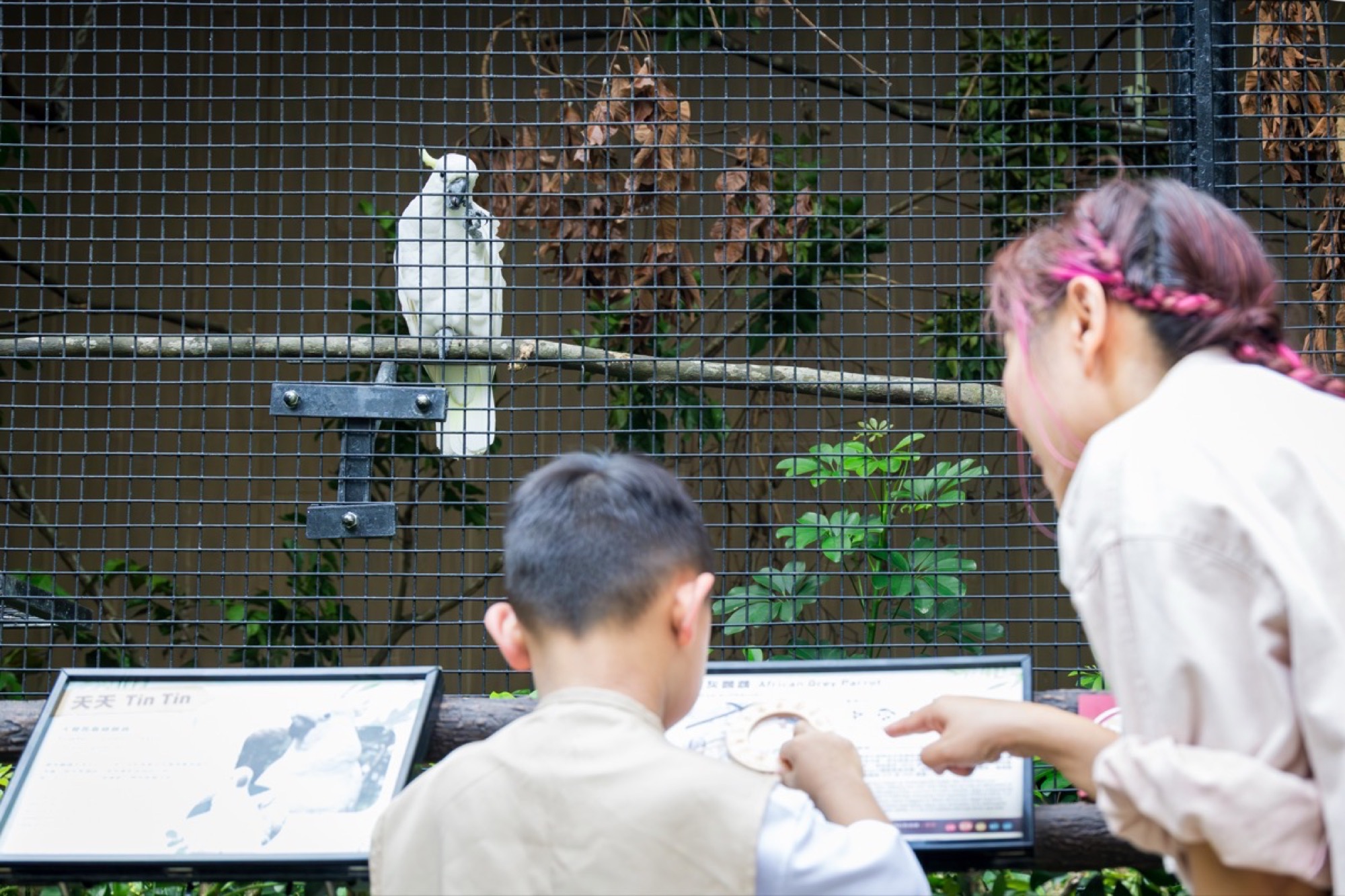 Family-friendly Summer Self-Guided Tour