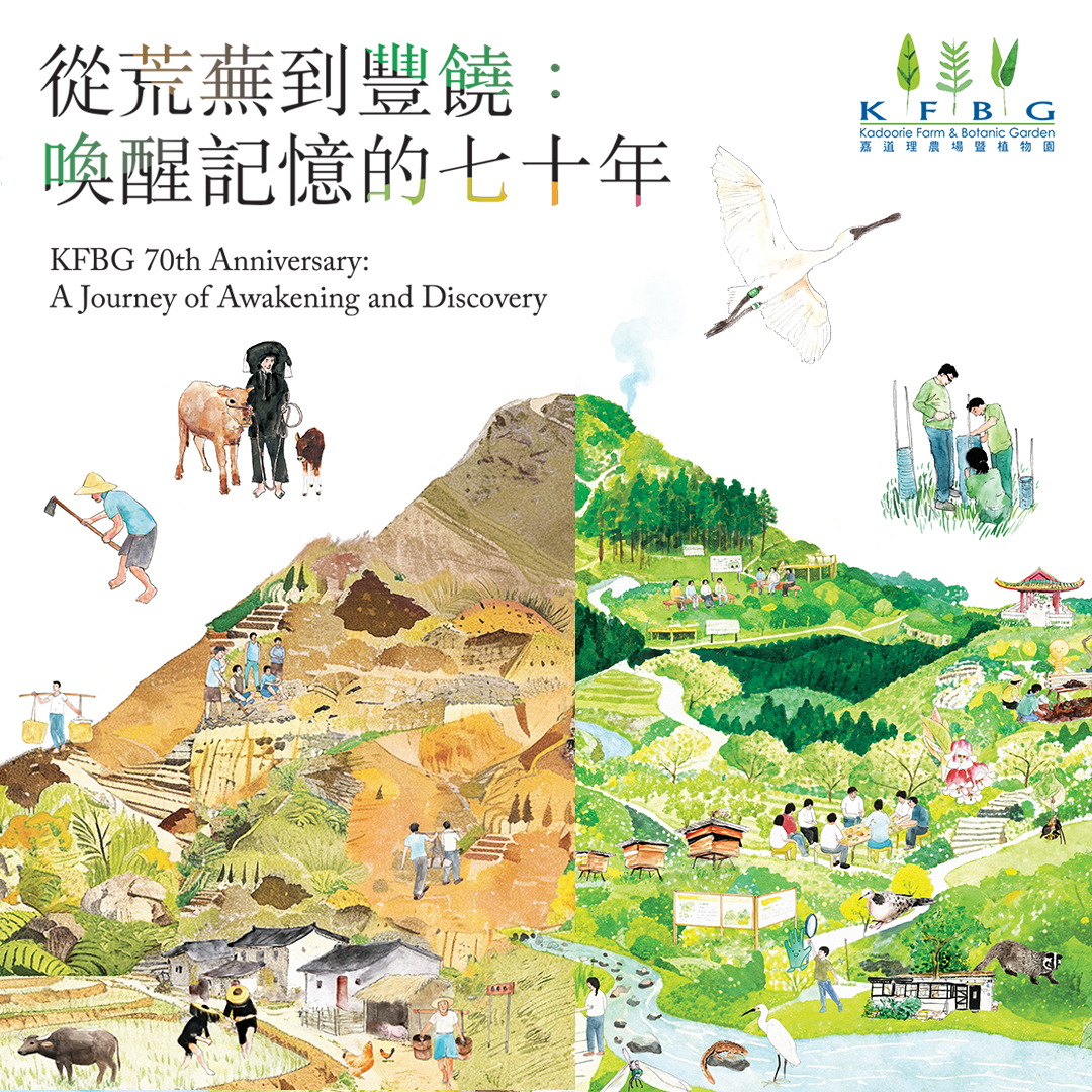 &lsquo;KFBG 70th Anniversary: A Journey of Awakening and Discovery&rsquo; Special Exhibition