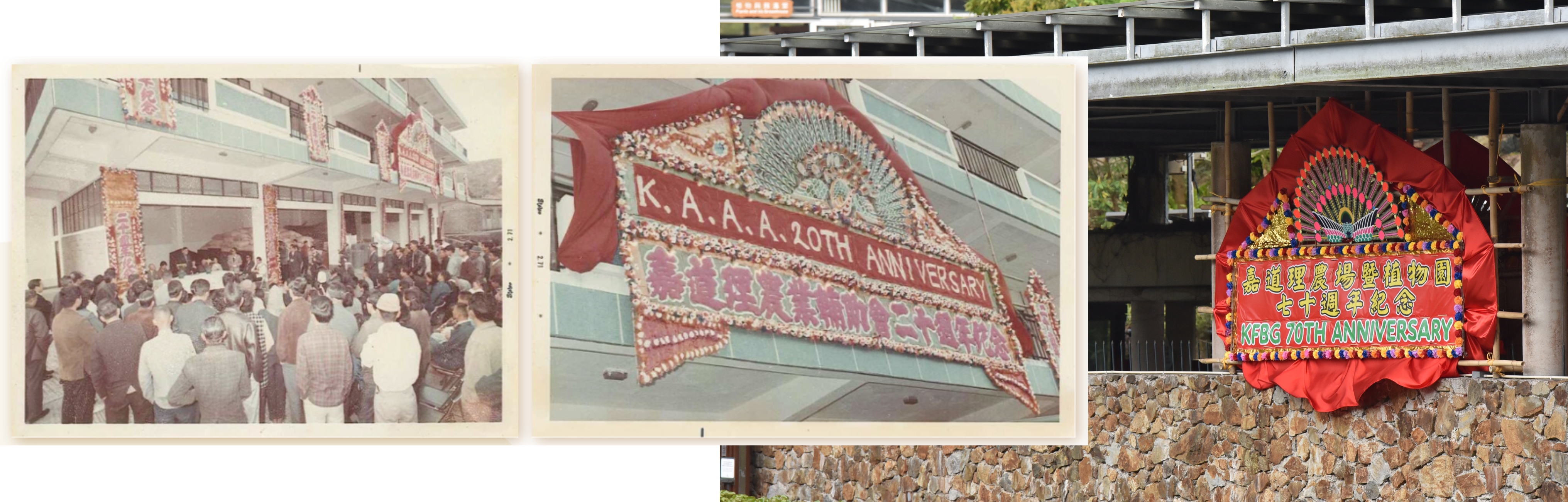 A Legacy in Bloom: The Double-Sided Flower Plaque