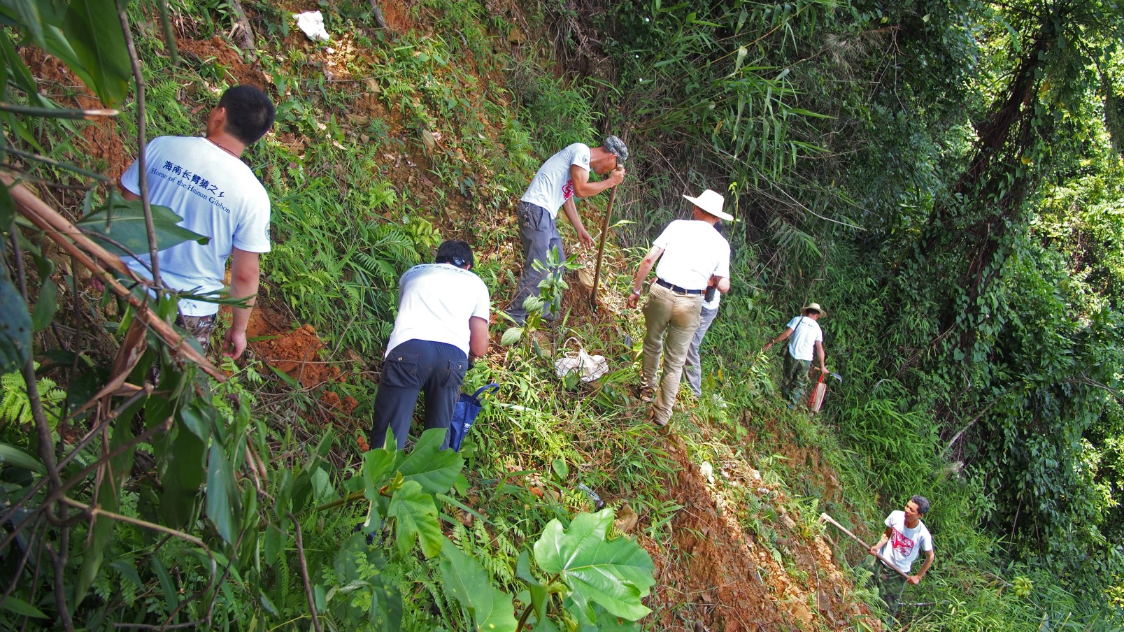 We worked with the nature reserve, local government and local community to plant about 1,200 tree saplings at various landslide areas.
