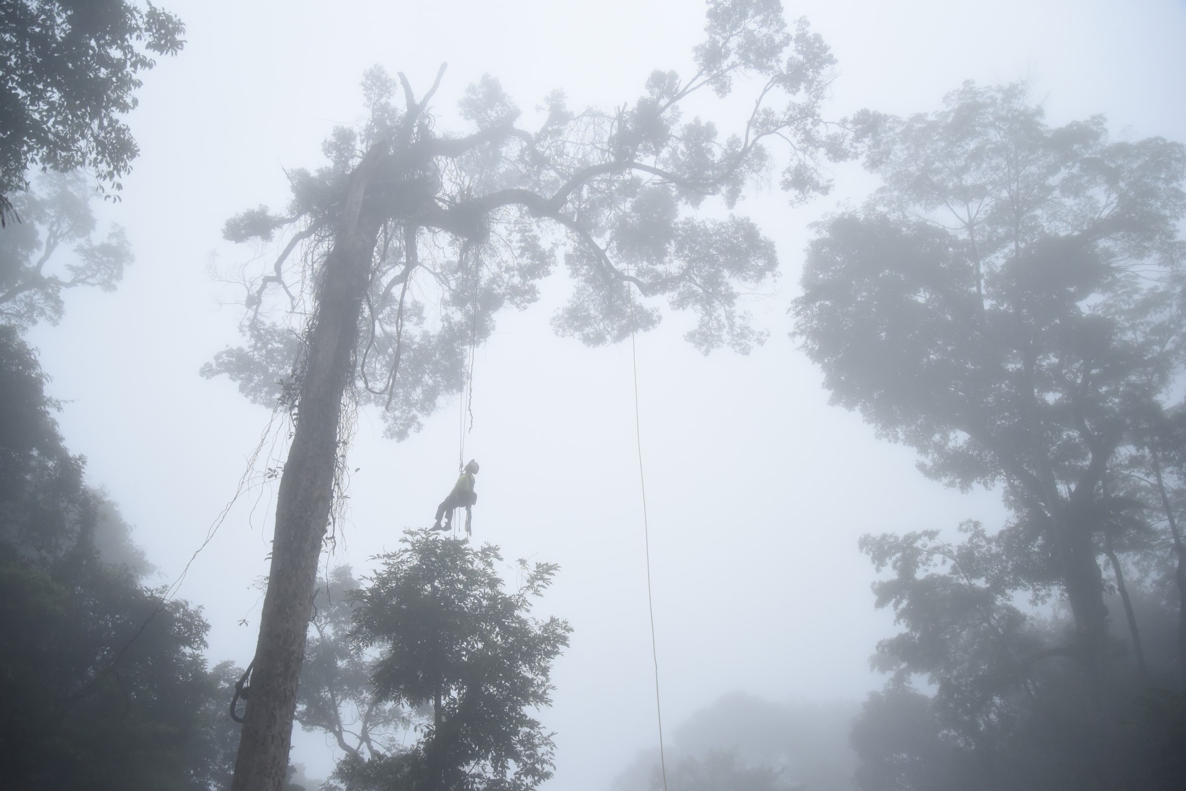 The weather unfortunately did not cooperate, making the task at hand more challenging.