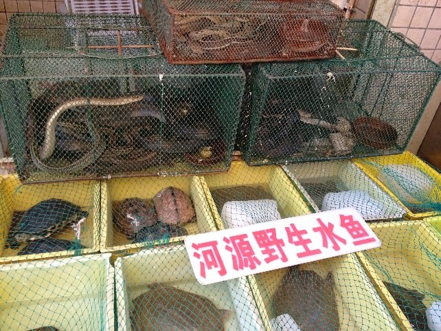 典型亞洲野味市場的例子（照片：嘉道理農場暨植物園上官達博士）
