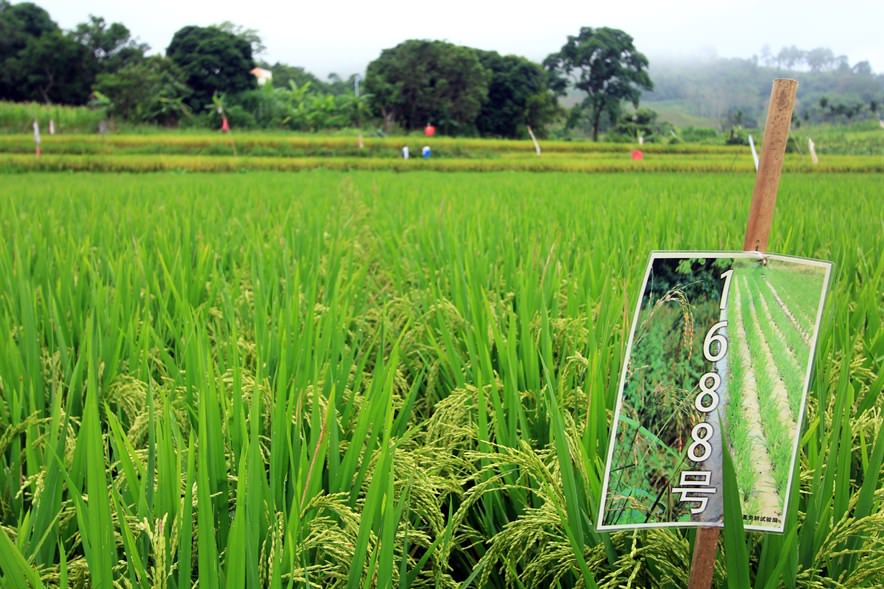 How to feed a booming population sustainably?