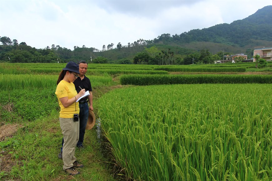 How to feed a booming population sustainably?