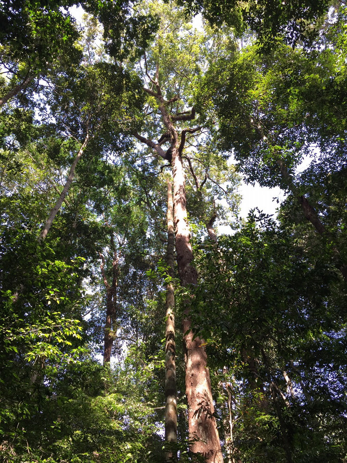 Bolikhamxay Province, Central Laos