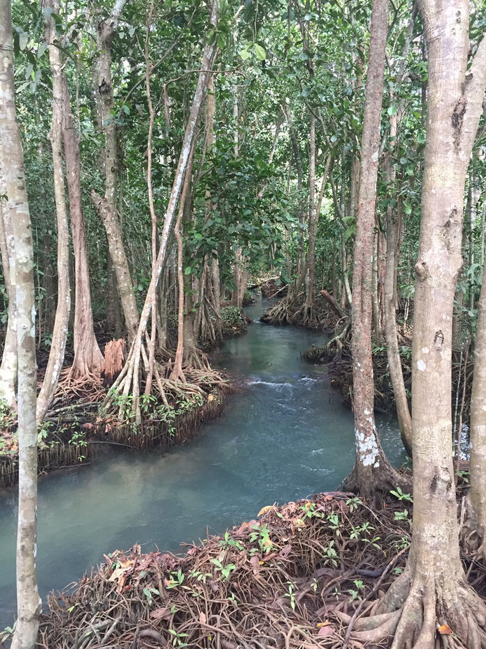 泰國南部喀比府 Krabi Province, Southern Thailand