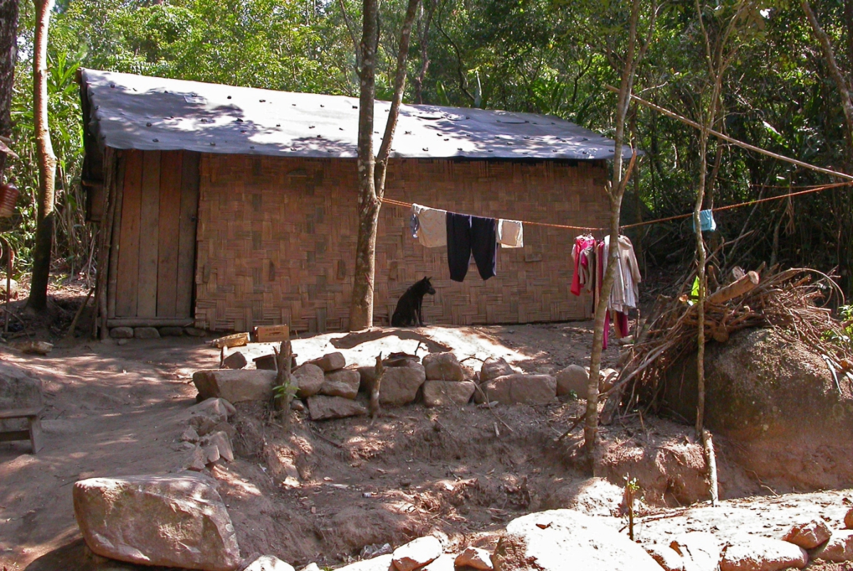 Traditional houses of the Li ethnic minority