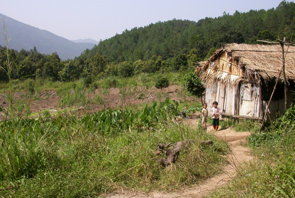 Traditional houses of the Li ethnic minority