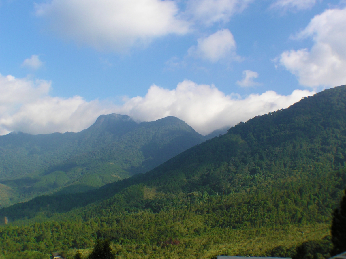 Mt Futouling in Hainan Bawangling National Nature Reserve is the last refuge of the Hainan Gibbon
