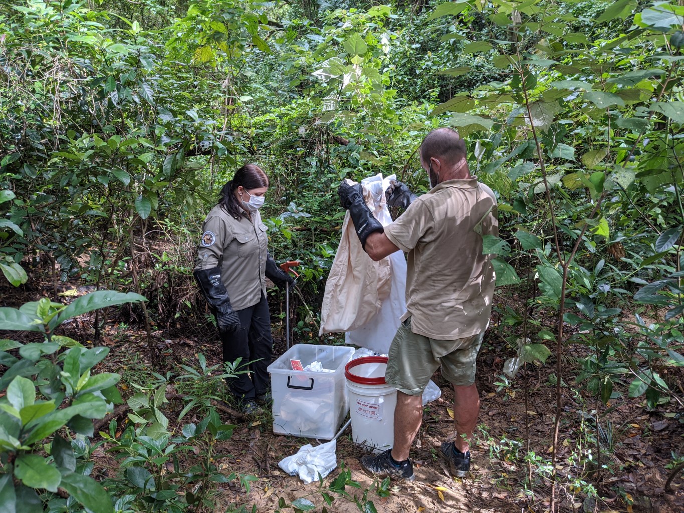 Our KFBG snake project team staff are checking the snake bags after the snake release in a natural woodland. 