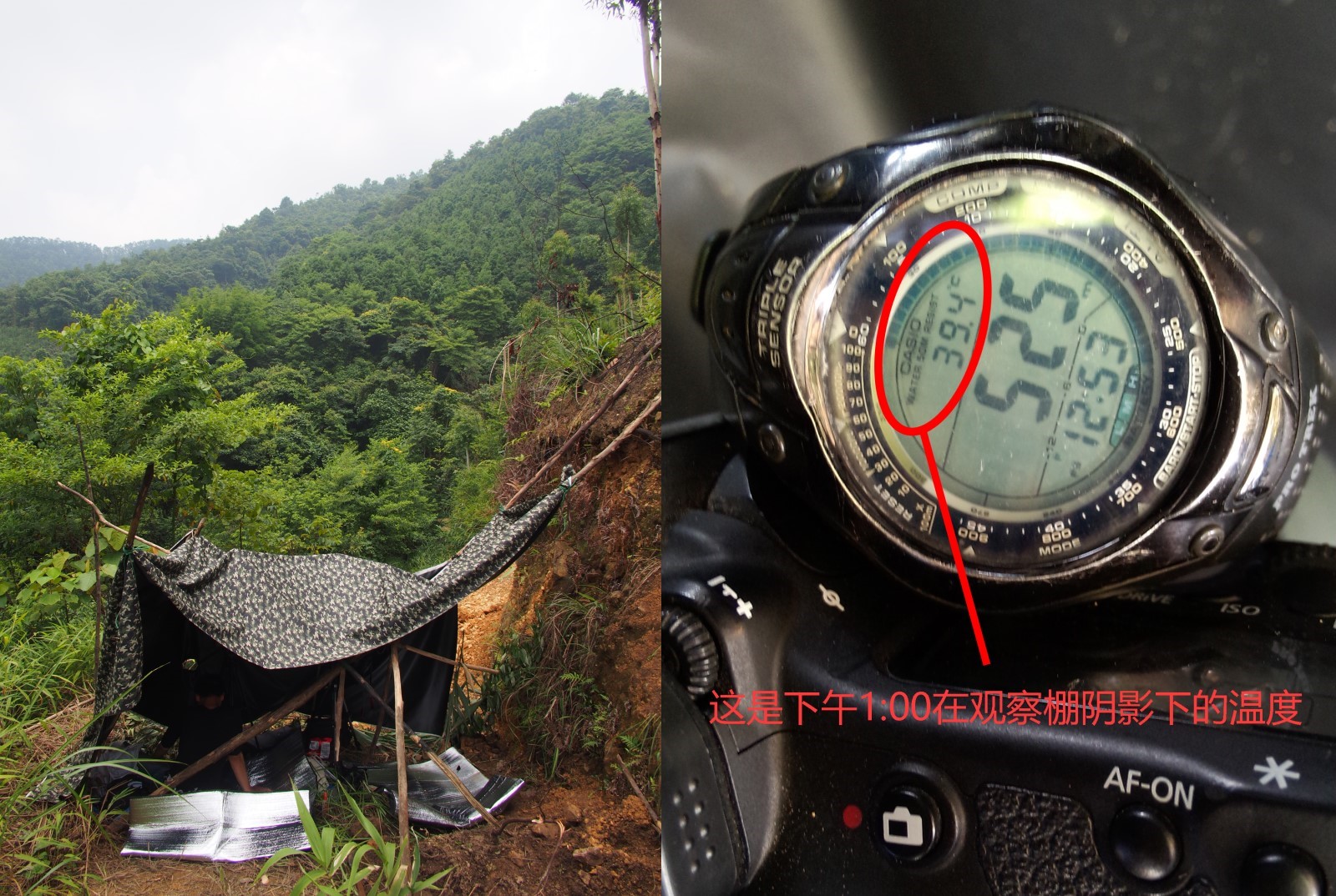 We experienced first-hand how well-insulated from the heat the hornbill’s tree hole must be. At 1pm, the temperature reached a scorching 39.4 degree Celsius inside our tent.