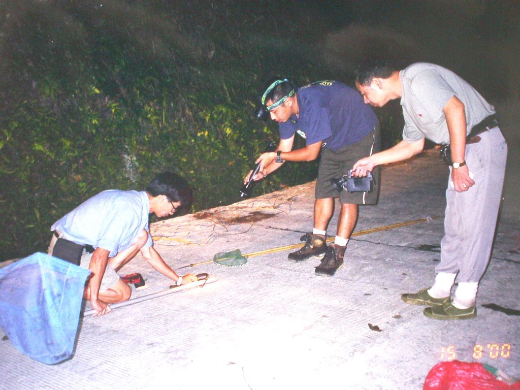 華南快速生物多樣性調查隊正在進行考察(左一為嶺南兩頭蛇的發現者——劉惠寧博士)
