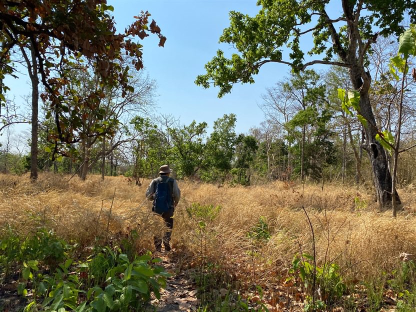 Day Survey (Photo Credit: KFBG)