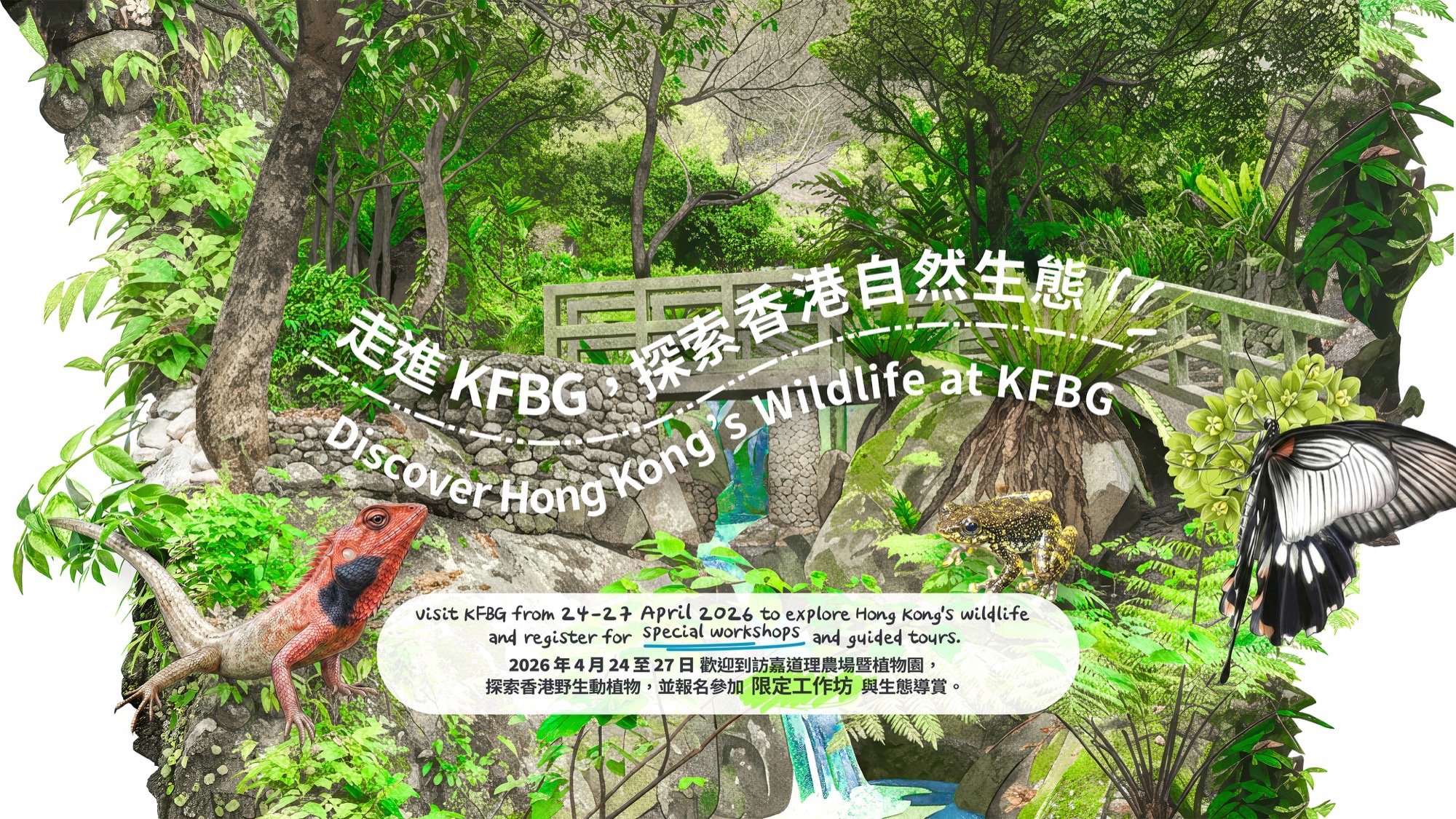 走進 KFBG，探索香港自然生態