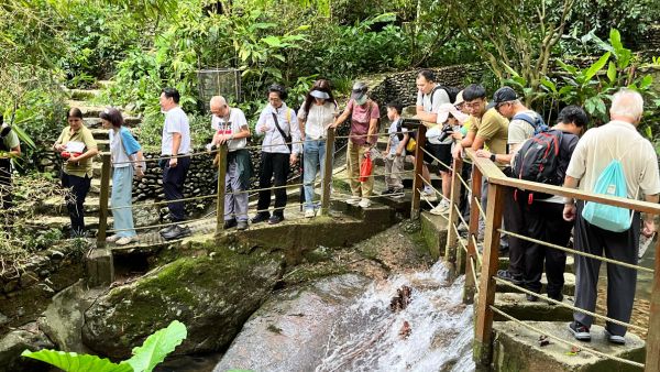 溪流生態探索之旅（英語）