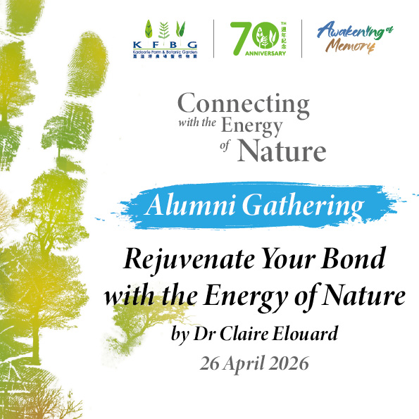 Alumni gathering tile: watercolour tree silhouettes with the gathering title