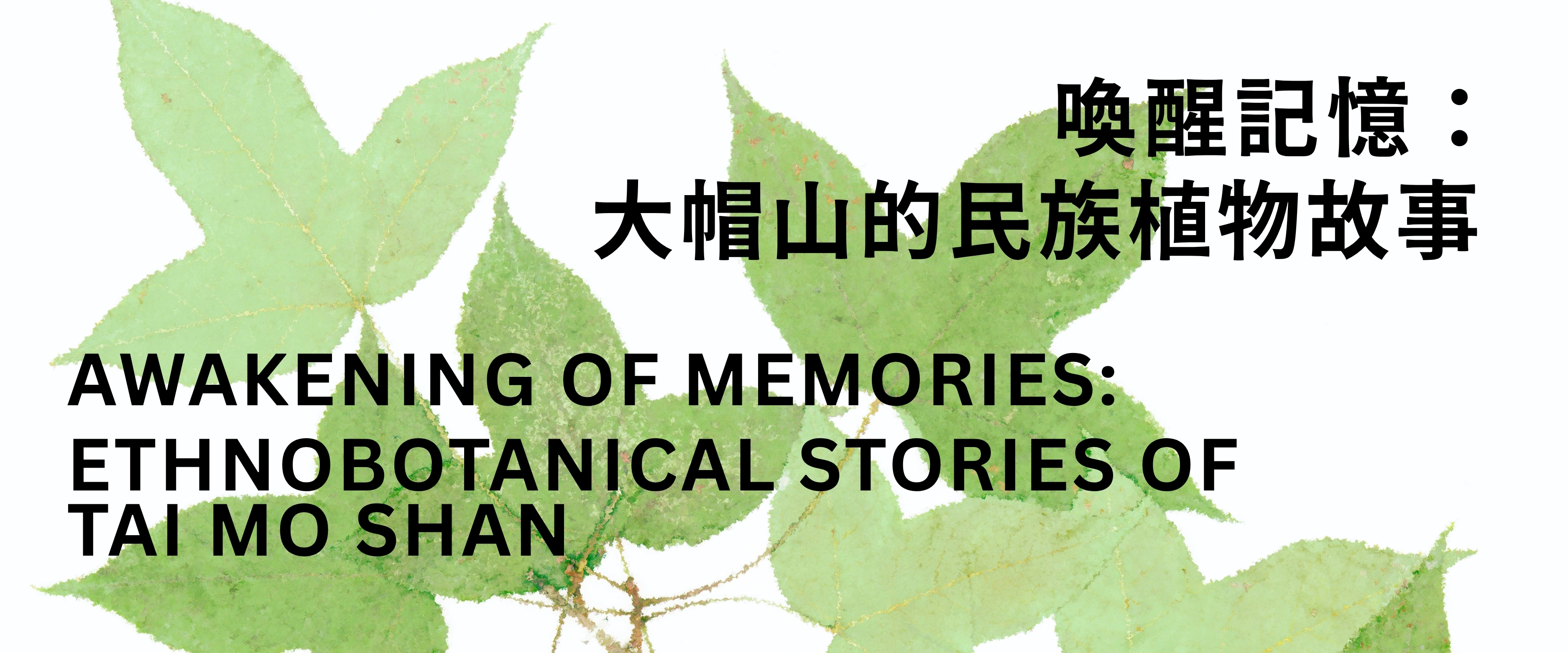 喚醒記憶：大帽山的民族植物故事 (1)