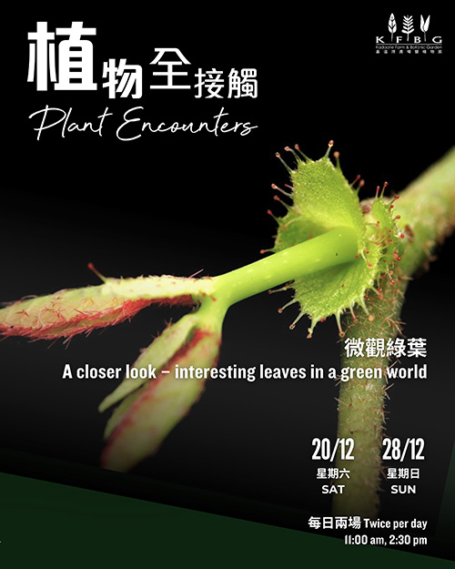 植物全接觸 - 微觀綠葉