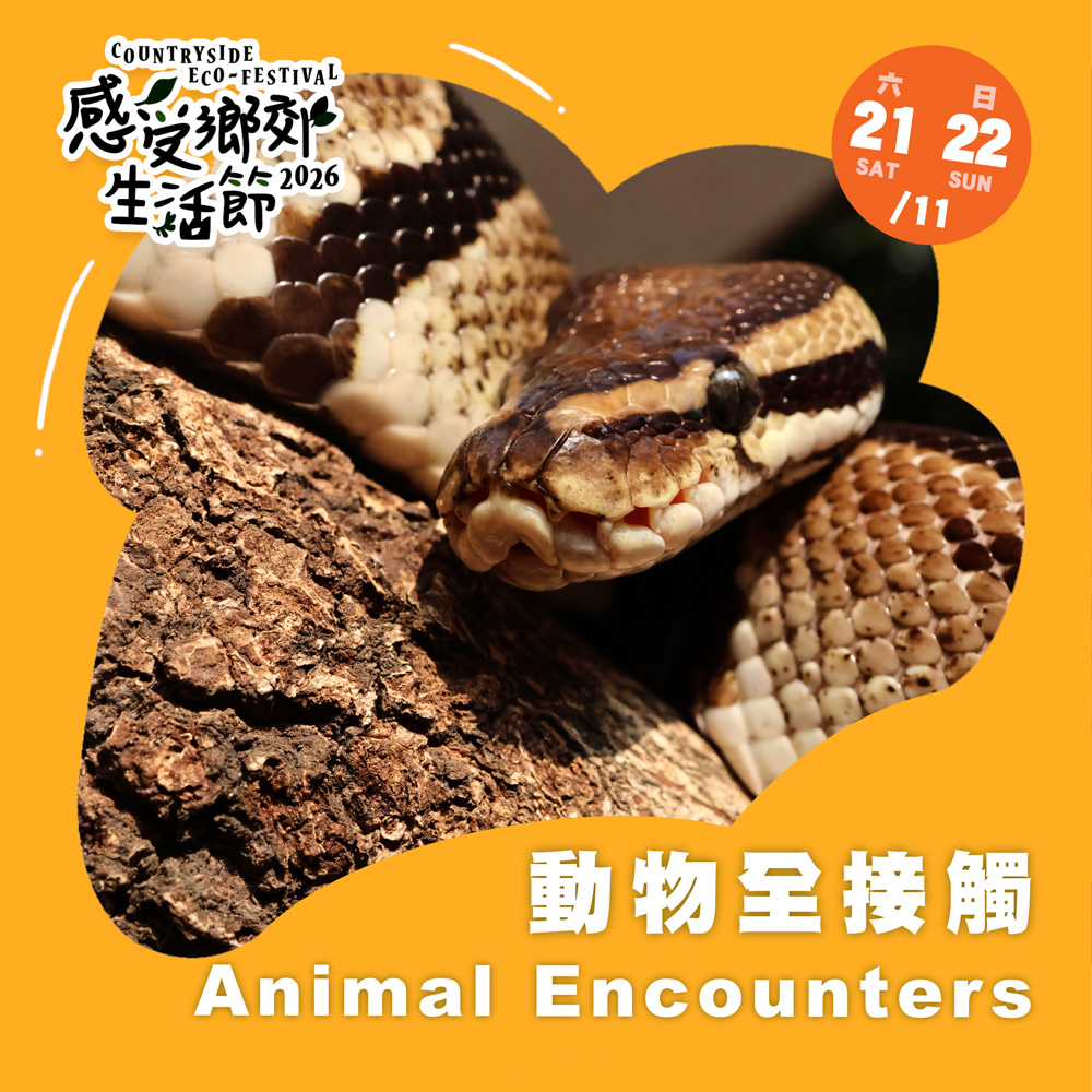 Animal Encounters