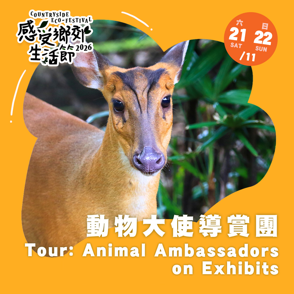動物大使導賞團