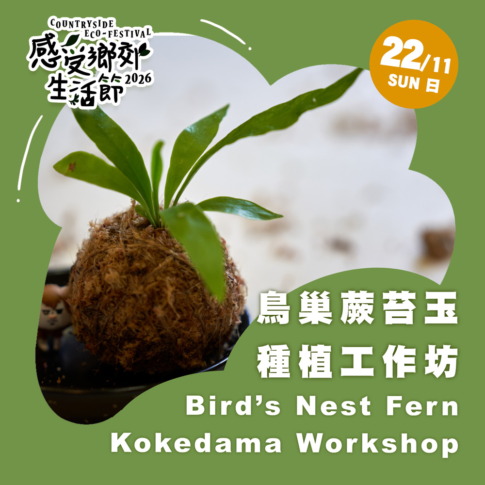 鳥巢蕨苔玉工作坊