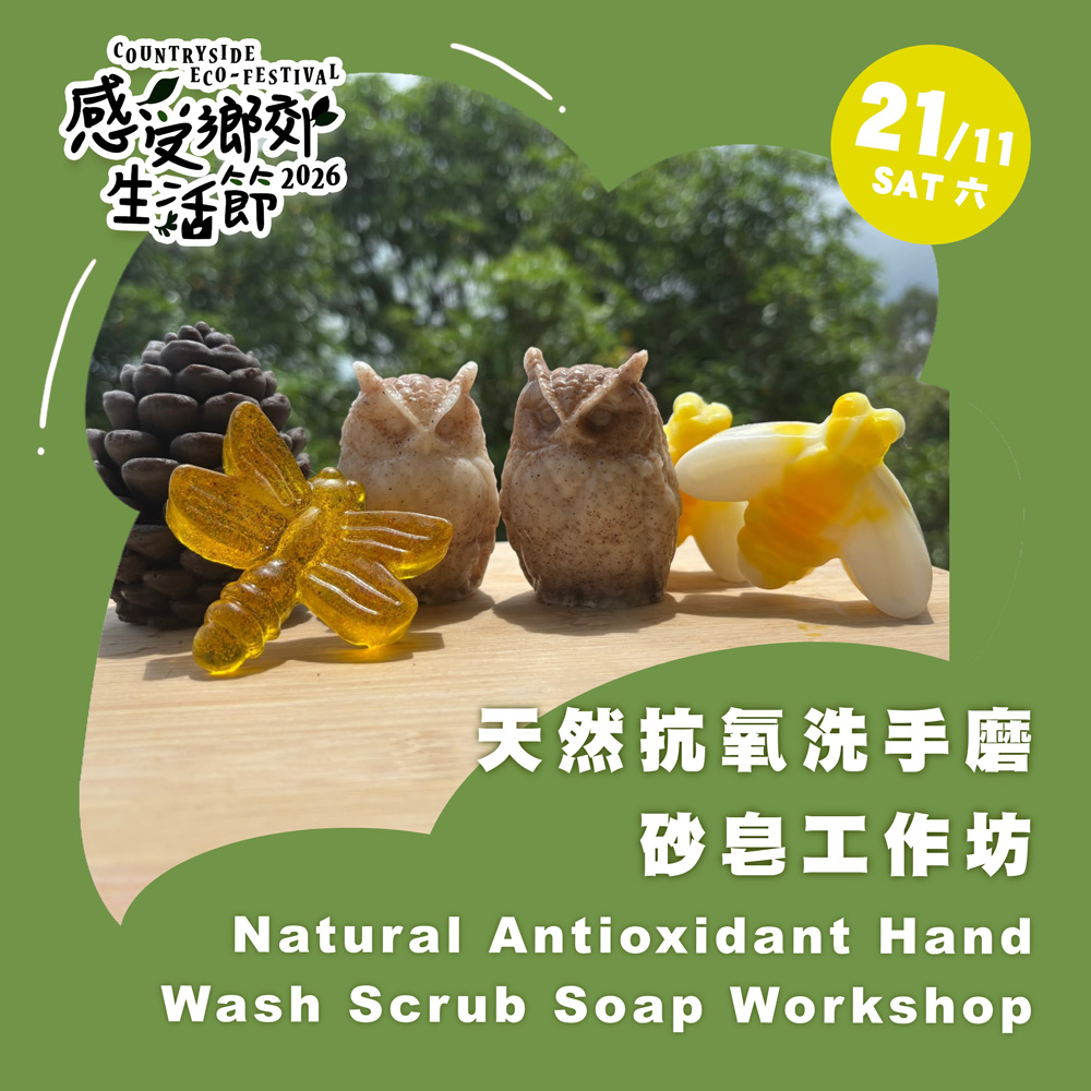 天然抗氧洗手磨砂皂工作坊