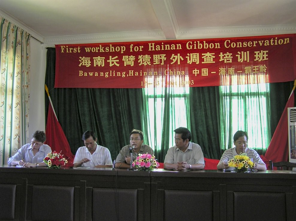In 2003, KFBG was invited by the Hainan forestry authorities to help save the Hainan Gibbon. Our first comprehensive population survey confirmed that there were only 13 individuals in two family groups left in the world. KFBG then convened the first Hainan Gibbon Conservation Workshop and implemented a long-term conservation action plan.