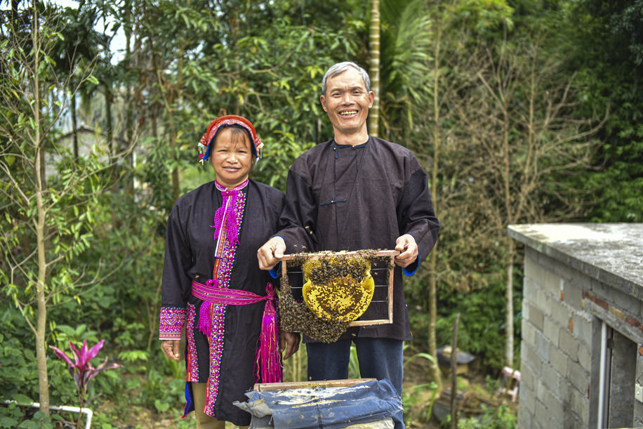KFBG promoted sustainable agriculture in Qingsong Township, the closest village to the Hainan Gibbons, to reduce villagers’ reliance on the forest, thus reducing disturbances to the gibbons. Sustainable agriculture concepts include rubber analogue agroforestry and eco-beekeeping.