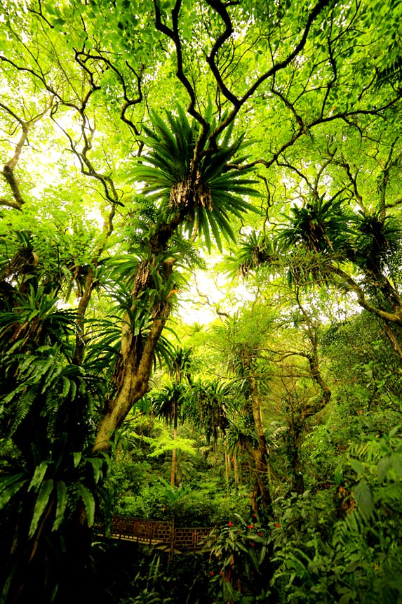 嘉道理農場暨植物園內自然景觀