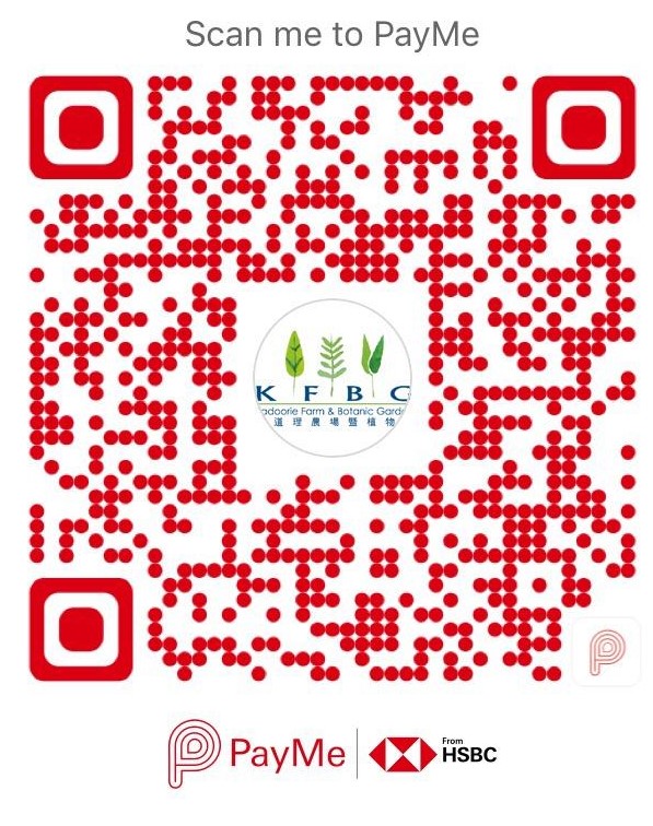 PayMe QR Code