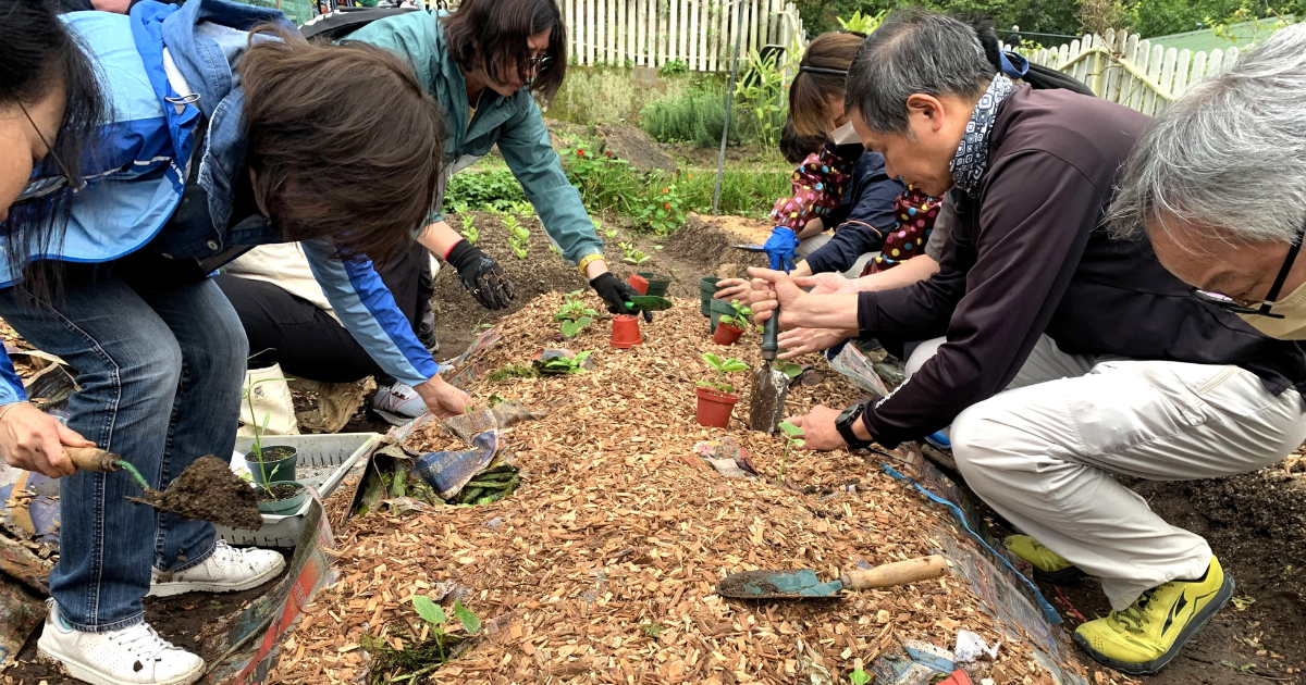 一群參加者沿著鋪了木屑的菜畦種植幼苗