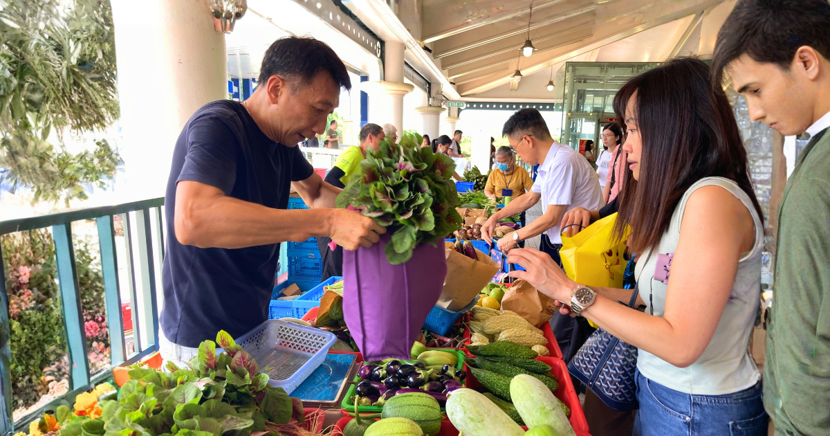 農友在碼頭的攤檔為顧客執拾葉菜