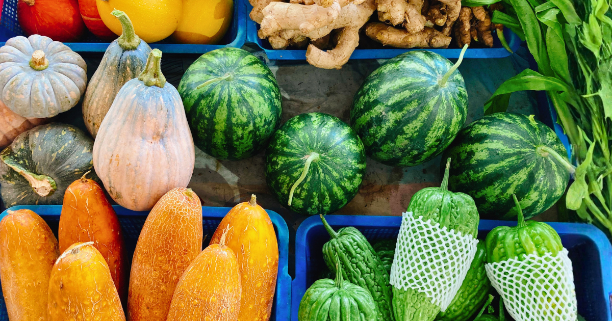 一箱箱剛採收的南瓜、西瓜、生薑、苦瓜及葉菜