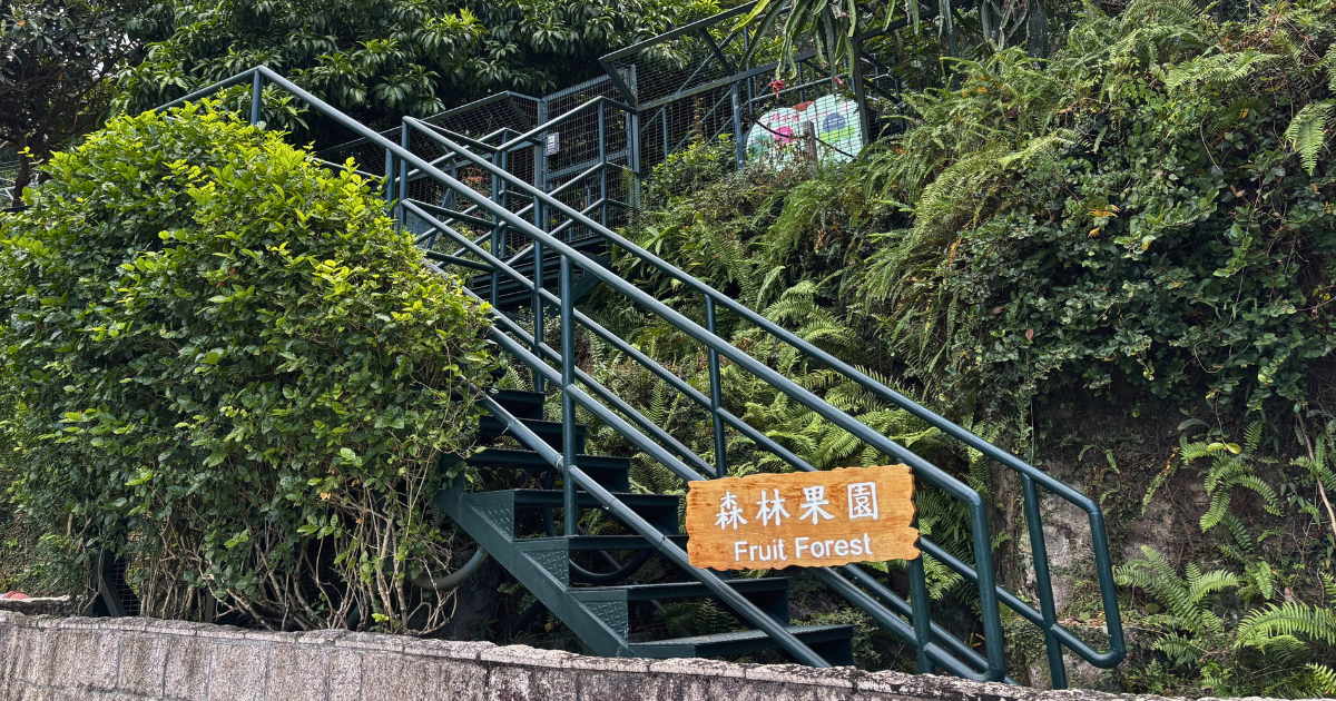 金屬樓梯通往森林果園，旁邊掛着寫上「森林果園 Fruit Forest」的木牌