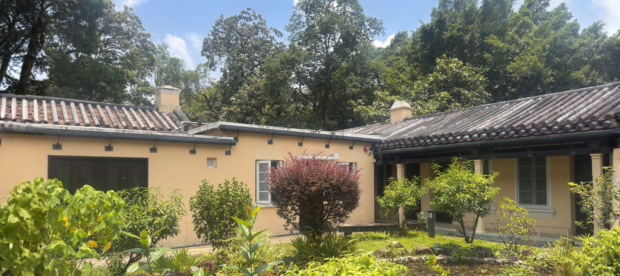 綠匯學苑的園地，開放客房為因宏福苑火災而失去家園的大埔居民提供住處