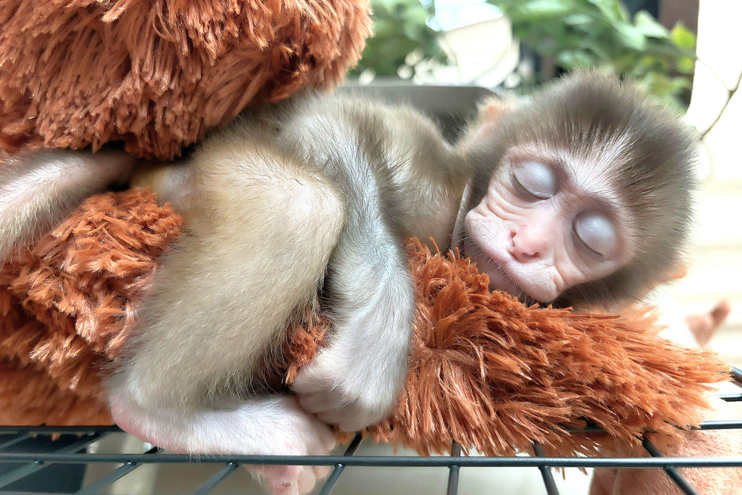 Family Day Pass Visit